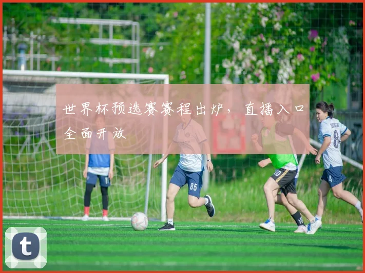 世界杯预选赛赛程出炉,直播入口全面开放